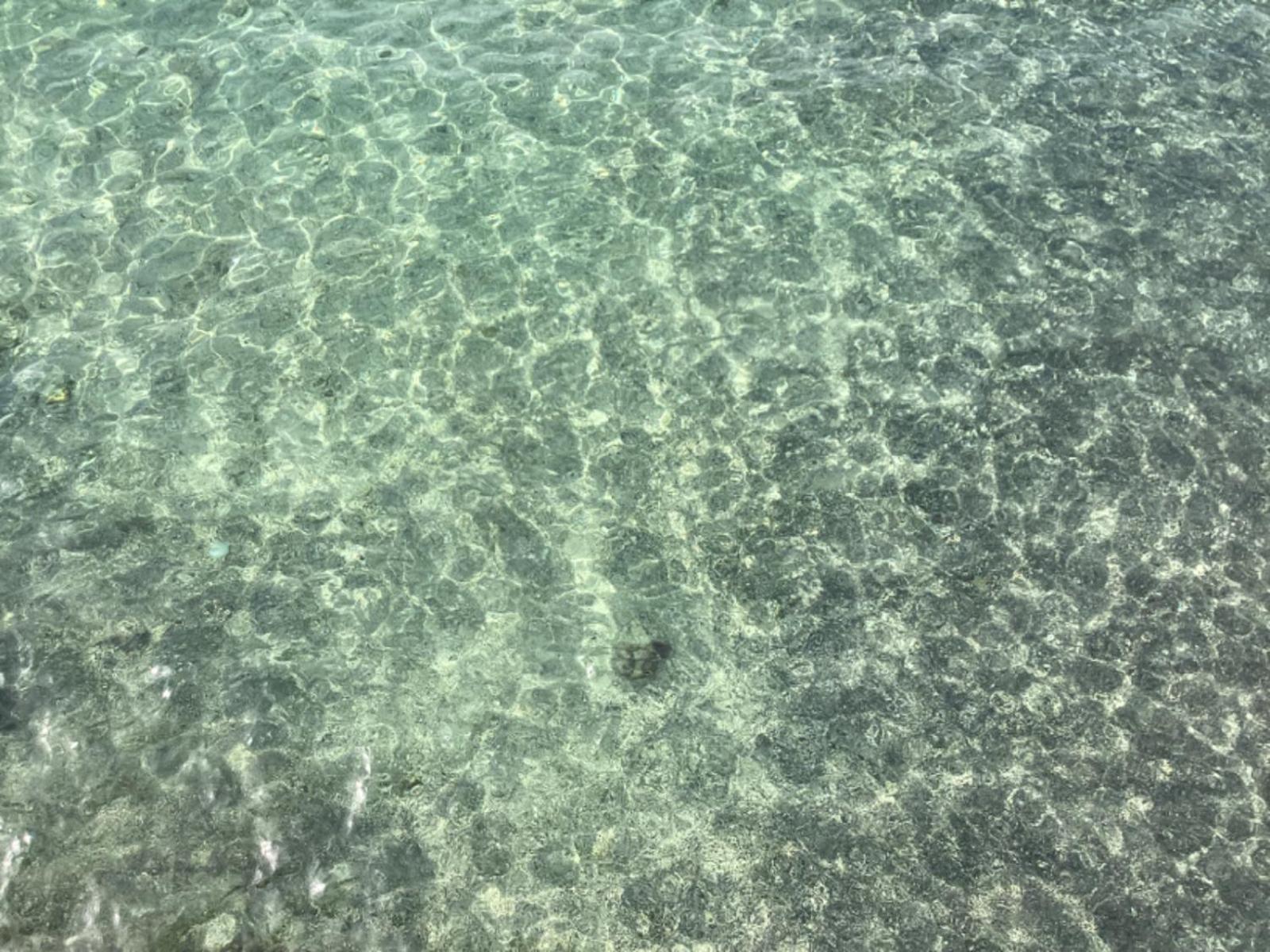 Puri Oka Beach Bungalows Candidasa Dış mekan fotoğraf